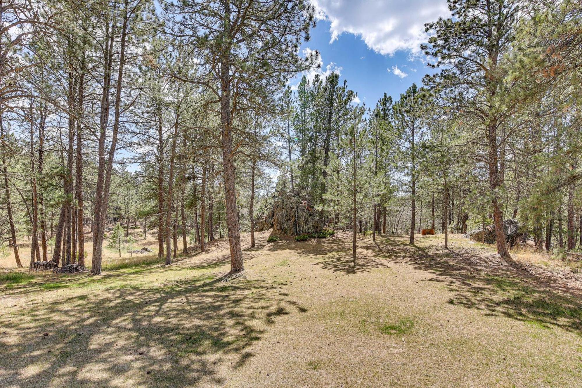 Private Black Hills Home With Corral Horses Welcome คัสเตอร์ ภายนอก รูปภาพ