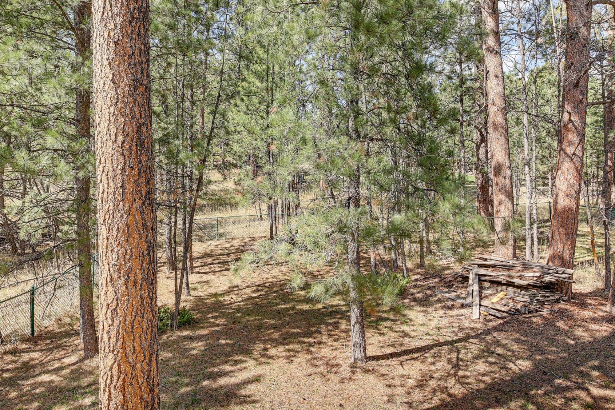 Private Black Hills Home With Corral Horses Welcome คัสเตอร์ ภายนอก รูปภาพ
